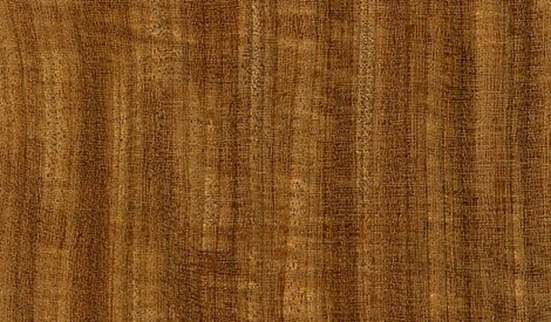 Bois débité de Assamela (Afrormosia)